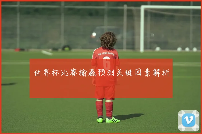 世界杯比赛输赢预测关键因素解析