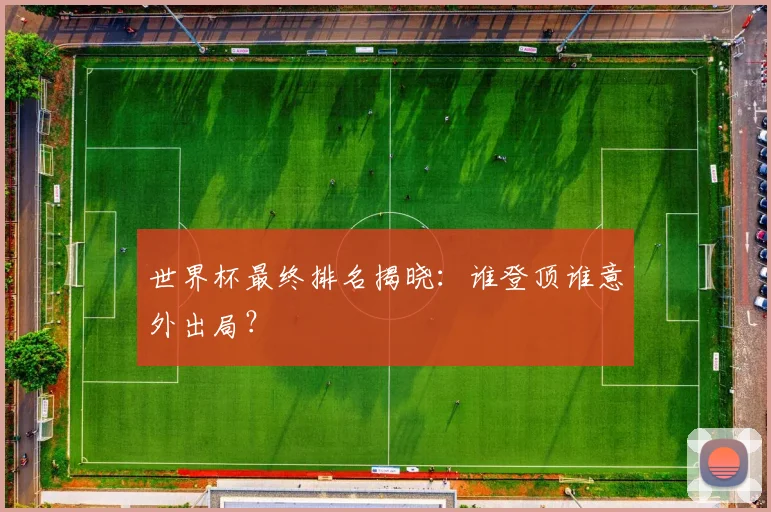 世界杯最终排名揭晓:谁登顶谁意外出局?