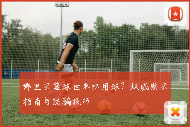哪里买篮球世界杯用球？权威购买指南与防骗技巧