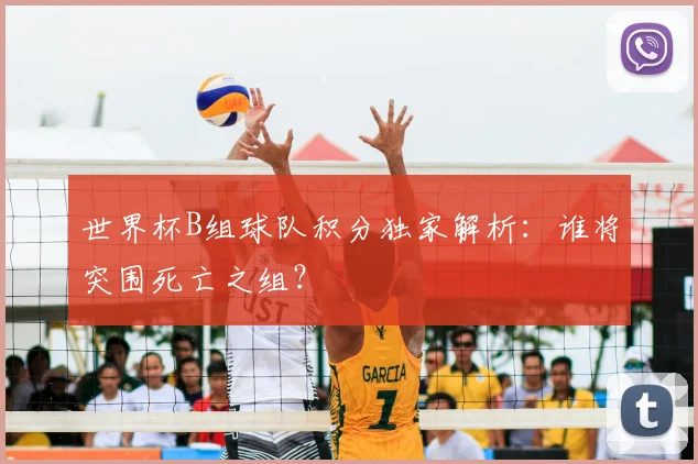世界杯B组球队积分独家解析:谁将突围死亡之组?