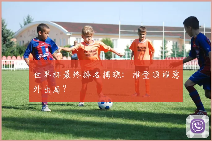 世界杯最终排名揭晓：谁登顶谁意外出局？