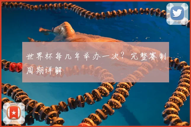 世界杯每几年举办一次?完整赛制周期详解