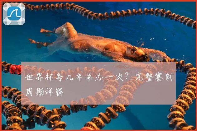 世界杯每几年举办一次?完整赛制周期详解