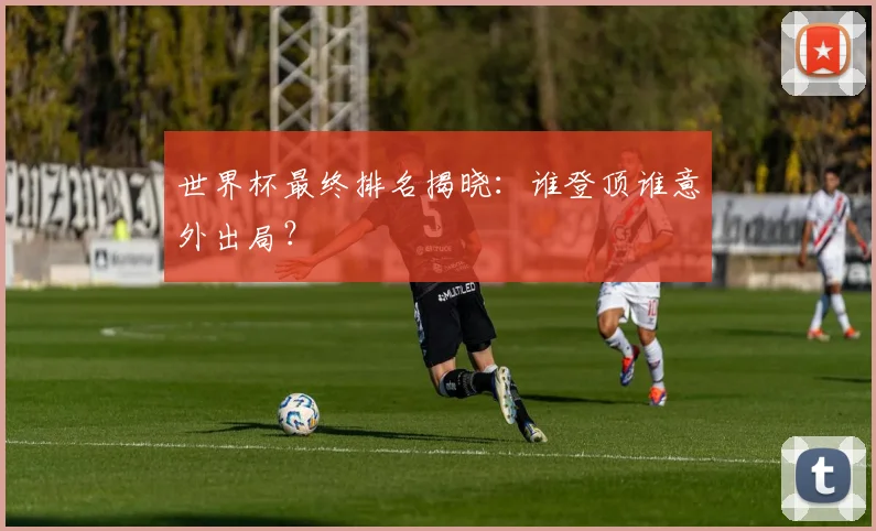世界杯最终排名揭晓：谁登顶谁意外出局？