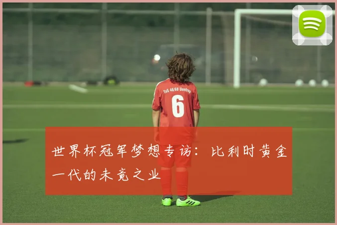 世界杯冠军梦想专访：比利时黄金一代的未竟之业