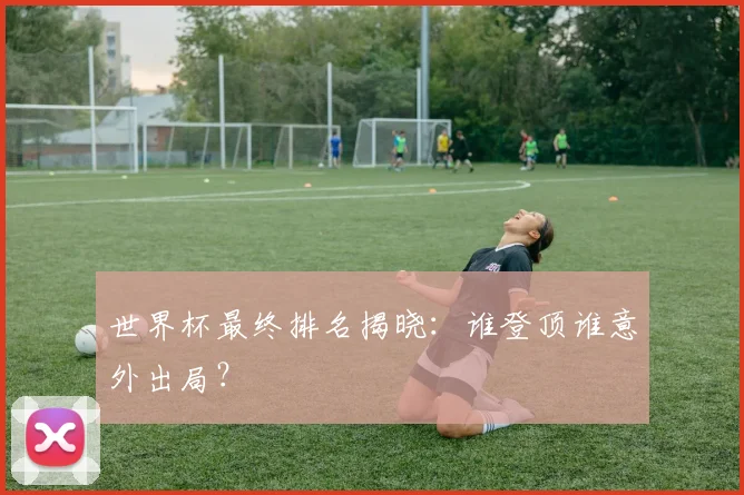 世界杯最终排名揭晓:谁登顶谁意外出局?