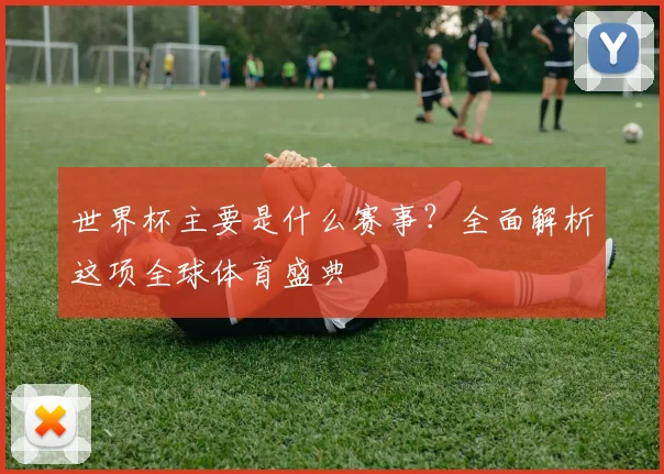 世界杯主要是什么赛事？全面解析这项全球体育盛典