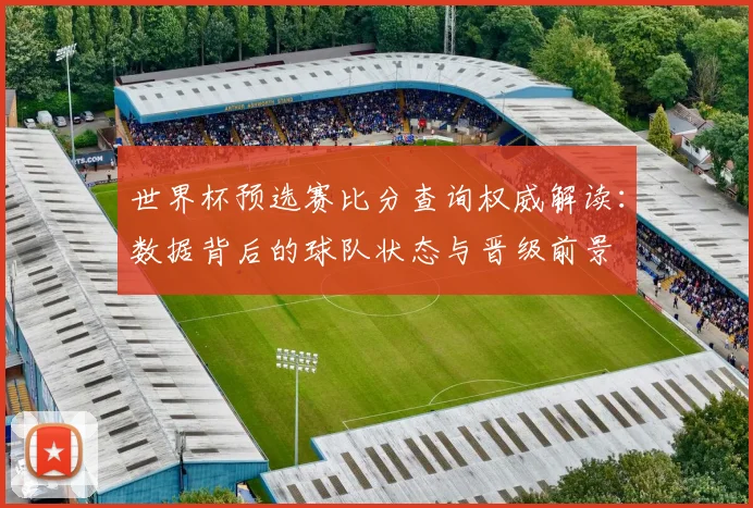 世界杯预选赛比分查询权威解读：数据背后的球队状态与晋级前景