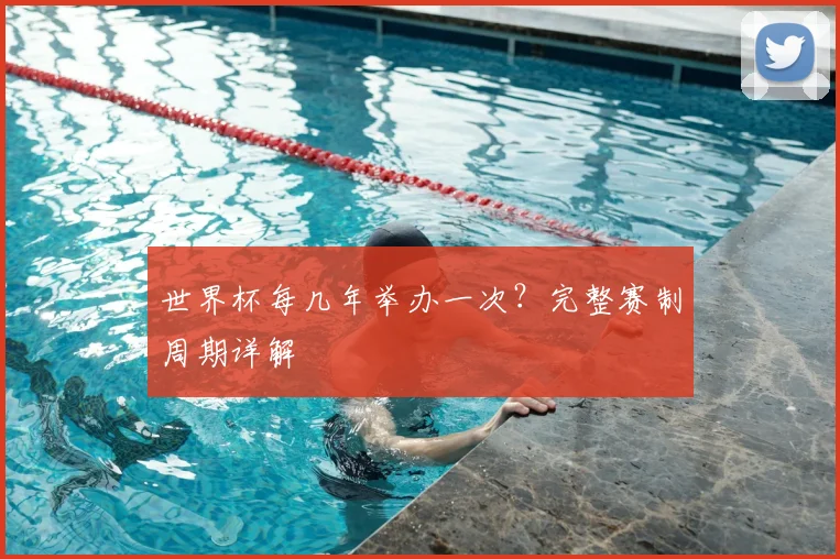 世界杯每几年举办一次？完整赛制周期详解