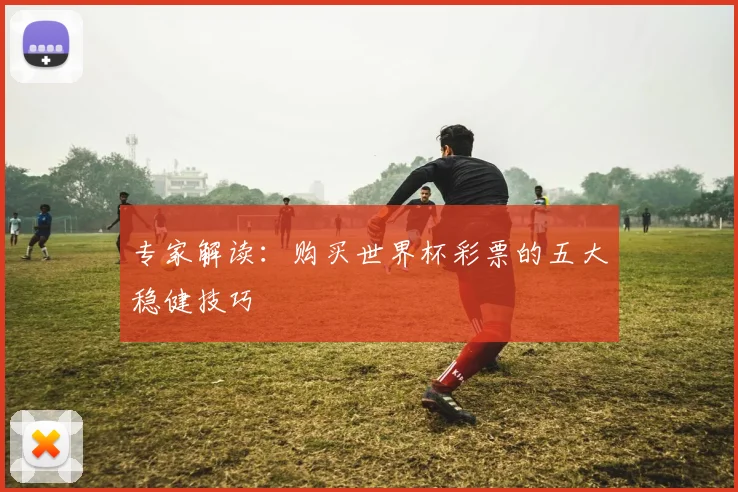 专家解读：购买世界杯彩票的五大稳健技巧