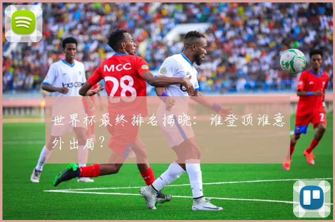 世界杯最终排名揭晓：谁登顶谁意外出局？