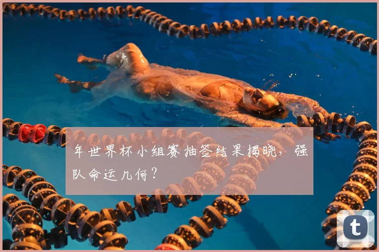 年世界杯小组赛抽签结果揭晓,强队命运几何?