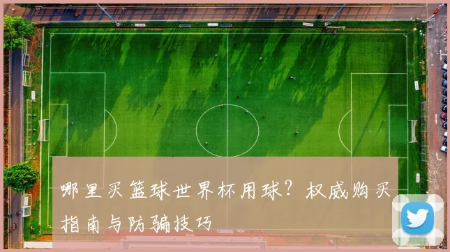 哪里买篮球世界杯用球?权威购买指南与防骗技巧