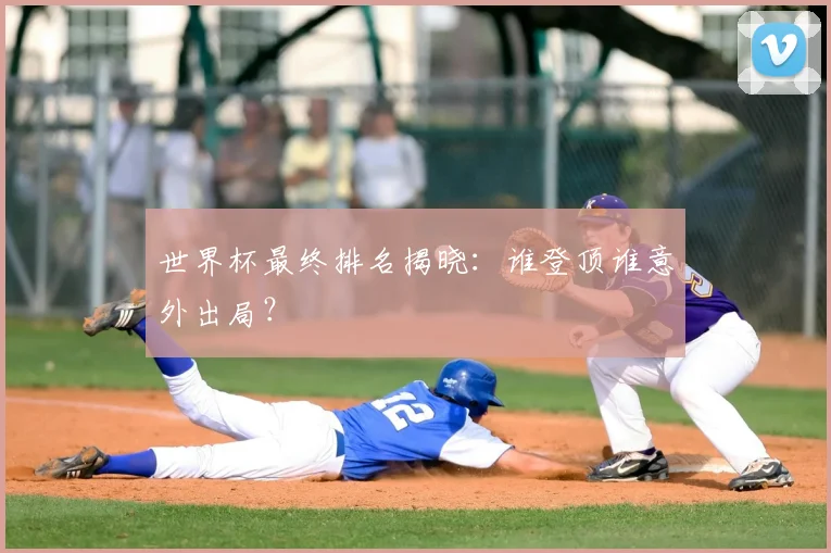 世界杯最终排名揭晓:谁登顶谁意外出局?