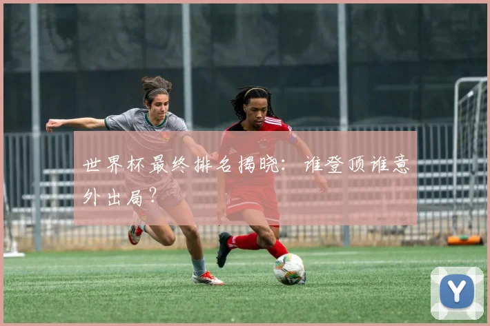 世界杯最终排名揭晓:谁登顶谁意外出局?