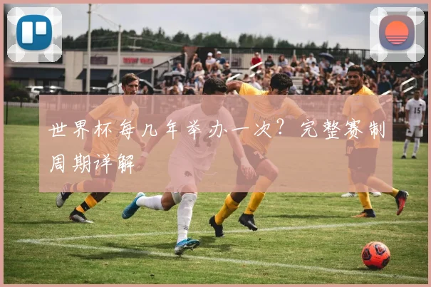 世界杯每几年举办一次?完整赛制周期详解