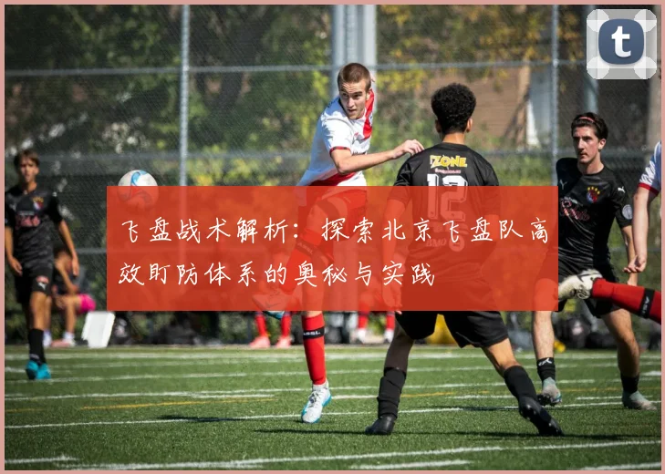 飞盘战术解析：探索北京飞盘队高效盯防体系的奥秘与实践