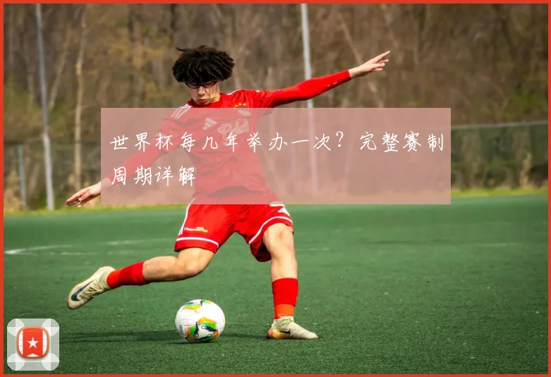 世界杯每几年举办一次？完整赛制周期详解
