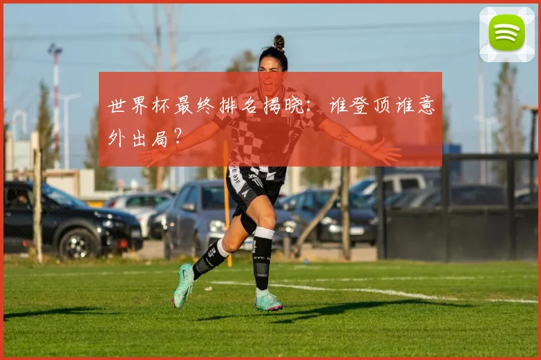 世界杯最终排名揭晓:谁登顶谁意外出局?