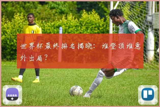 世界杯最终排名揭晓：谁登顶谁意外出局？