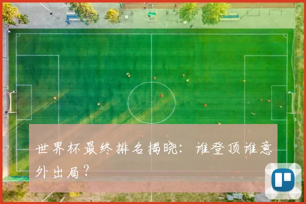 世界杯最终排名揭晓:谁登顶谁意外出局?