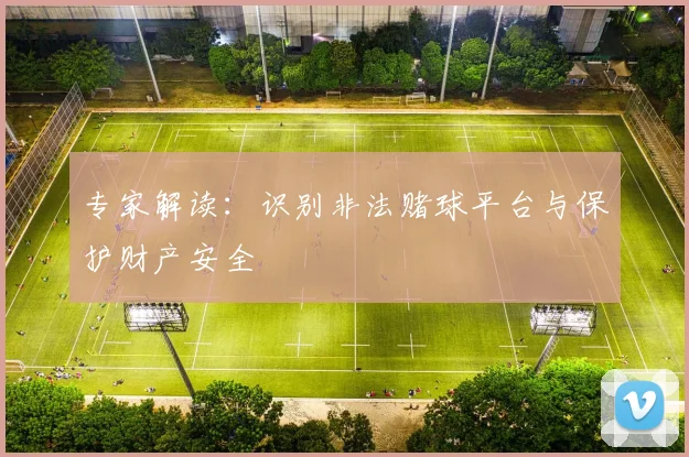专家解读：识别非法赌球平台与保护财产安全
