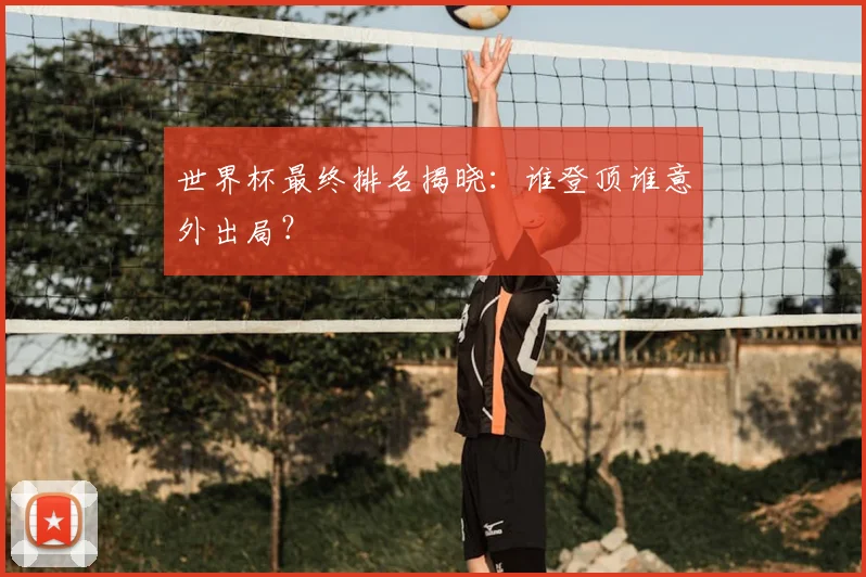 世界杯最终排名揭晓：谁登顶谁意外出局？
