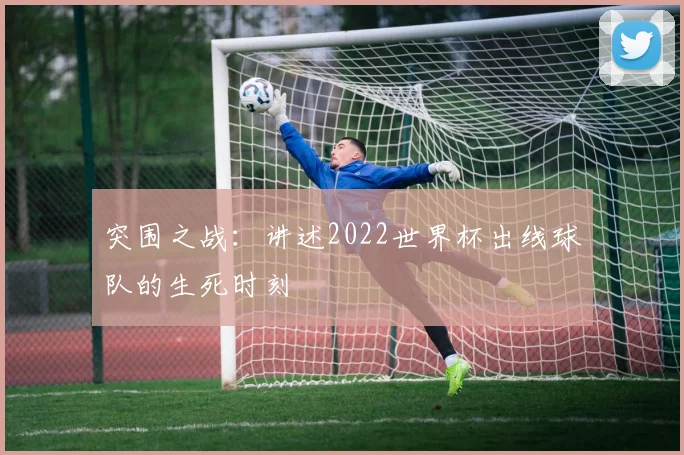 突围之战:讲述2022世界杯出线球队的生死时刻