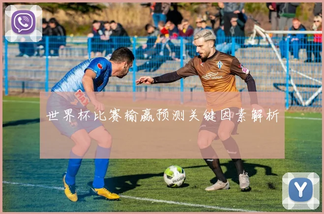 世界杯比赛输赢预测关键因素解析